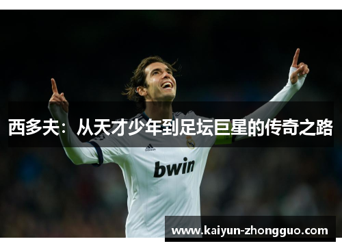 西多夫：从天才少年到足坛巨星的传奇之路